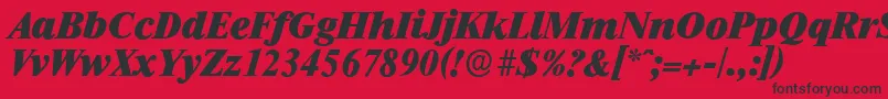 RiccioneserialHeavyItalic Font – Black Fonts on Red Background