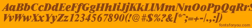 RiccioneserialHeavyItalic Font – Brown Fonts on Orange Background