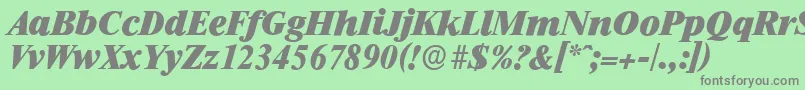 RiccioneserialHeavyItalic Font – Gray Fonts on Green Background