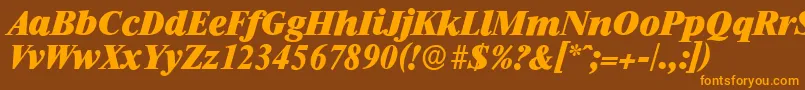 RiccioneserialHeavyItalic Font – Orange Fonts on Brown Background
