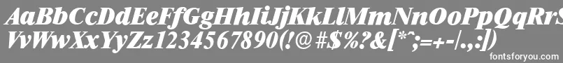 RiccioneserialHeavyItalic Font – White Fonts on Gray Background