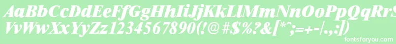 RiccioneserialHeavyItalic Font – White Fonts on Green Background