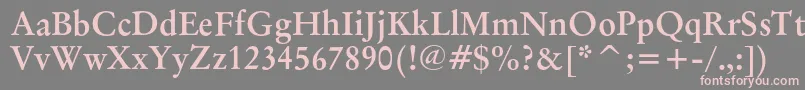 OriginalgaramondcbtBold Font – Pink Fonts on Gray Background