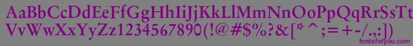 OriginalgaramondcbtBold Font – Purple Fonts on Gray Background