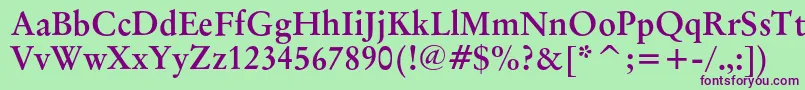 OriginalgaramondcbtBold Font – Purple Fonts on Green Background