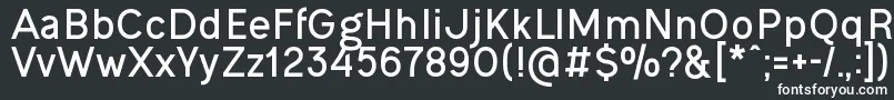 OgonekBold Font – White Fonts on Black Background