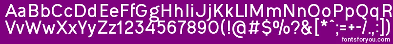 OgonekBold Font – White Fonts on Purple Background