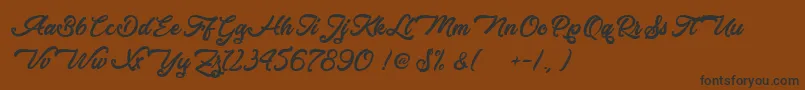 VacationsInPhuket Font – Black Fonts on Brown Background