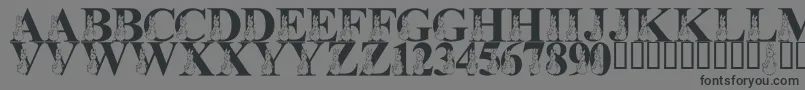 LmsMyFavoriteRabbit Font – Black Fonts on Gray Background