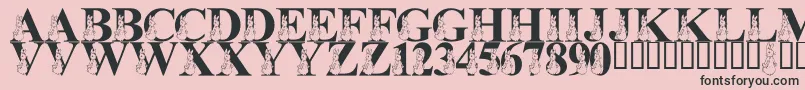 LmsMyFavoriteRabbit Font – Black Fonts on Pink Background