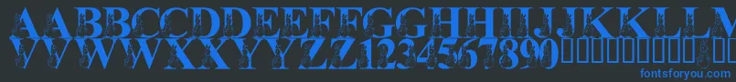 LmsMyFavoriteRabbit Font – Blue Fonts on Black Background