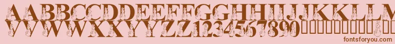 LmsMyFavoriteRabbit Font – Brown Fonts on Pink Background