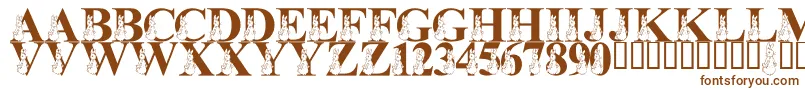 LmsMyFavoriteRabbit Font – Brown Fonts on White Background
