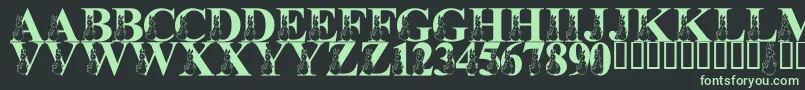 LmsMyFavoriteRabbit Font – Green Fonts on Black Background