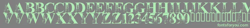 LmsMyFavoriteRabbit-Schriftart – Grüne Schriften auf grauem Hintergrund