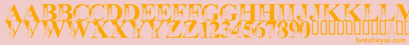 LmsMyFavoriteRabbit Font – Orange Fonts on Pink Background