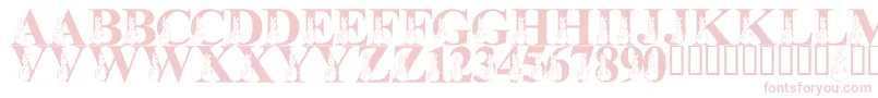 LmsMyFavoriteRabbit Font – Pink Fonts on White Background