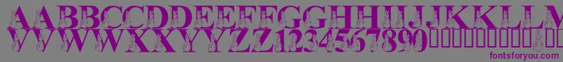 LmsMyFavoriteRabbit-fontti – violetit fontit harmaalla taustalla
