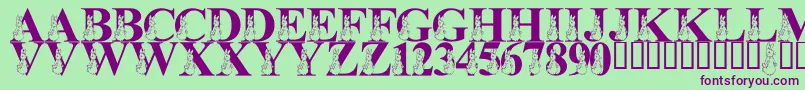 LmsMyFavoriteRabbit Font – Purple Fonts on Green Background