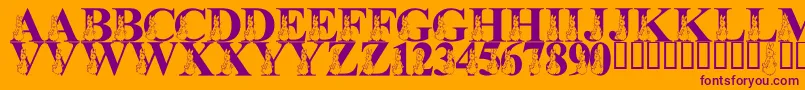 Шрифт LmsMyFavoriteRabbit – фиолетовые шрифты на оранжевом фоне