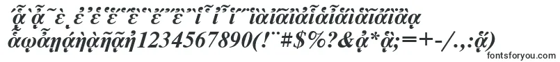 NewtonpgttBolditalic Font – Fonts for Windows