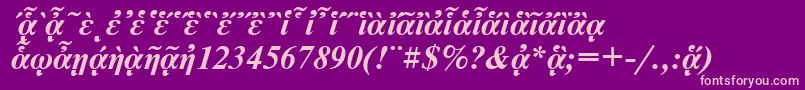 NewtonpgttBolditalic-Schriftart – Rosa Schriften auf violettem Hintergrund