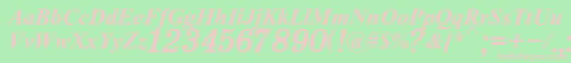 H331Italik Font – Pink Fonts on Green Background