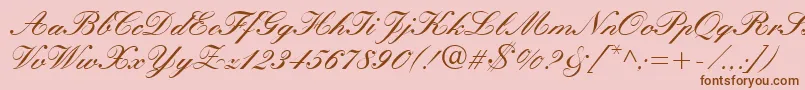 Manuscript Font – Brown Fonts on Pink Background