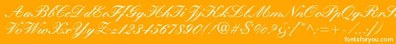 Manuscript Font – White Fonts on Orange Background