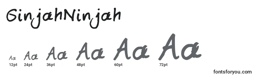 Размеры шрифта GinjahNinjah