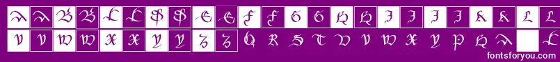 Mkancellerescacaps Font – White Fonts on Purple Background