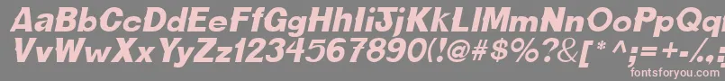 Шрифт CactussskItalic – розовые шрифты на сером фоне