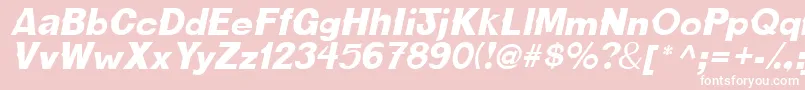 CactussskItalic Font – White Fonts on Pink Background