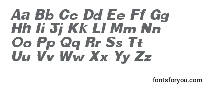 CactussskItalic Font