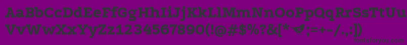 PodkovaBold Font – Black Fonts on Purple Background