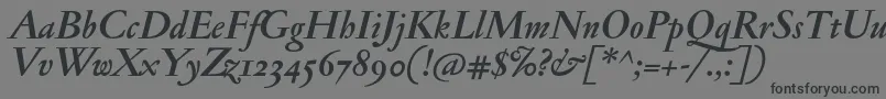 JannonantosfBolditalic Font – Black Fonts on Gray Background