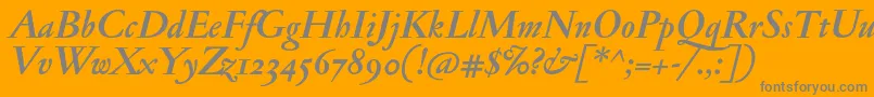 JannonantosfBolditalic Font – Gray Fonts on Orange Background