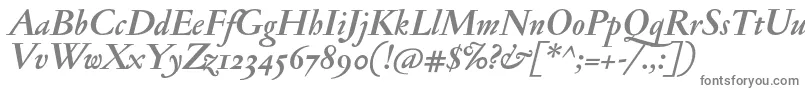 JannonantosfBolditalic Font – Gray Fonts on White Background