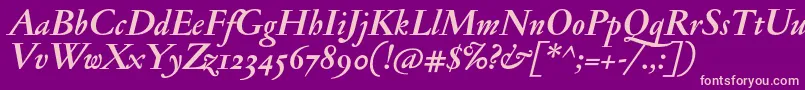 JannonantosfBolditalic Font – Pink Fonts on Purple Background