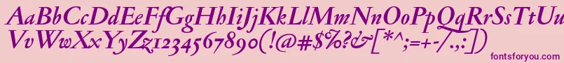JannonantosfBolditalic Font – Purple Fonts on Pink Background