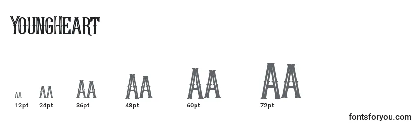 YoungHeart (44391) Font Sizes