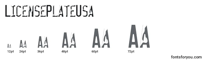 LicensePlateUsa Font Sizes
