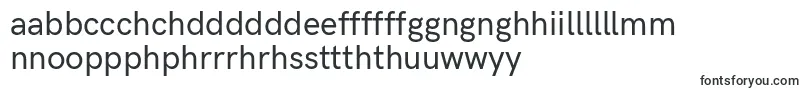 Шрифт HkgroteskMedium – валлийские шрифты
