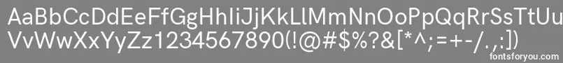 HkgroteskMedium Font – White Fonts on Gray Background