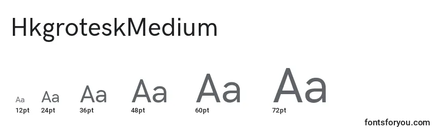 Размеры шрифта HkgroteskMedium (44396)