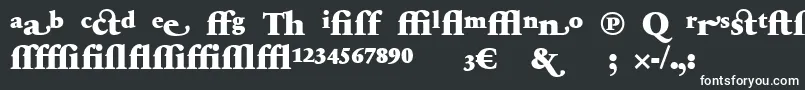 フォントSabonnextLtBlackAlternate – 黒い背景に白い文字