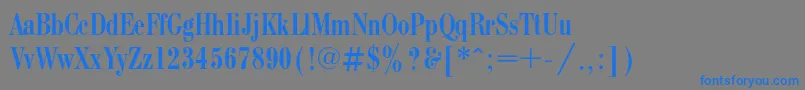 フォントBodonicondc – 灰色の背景に青い文字