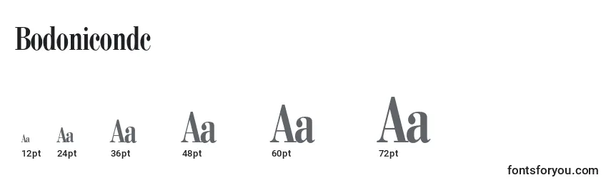 Bodonicondc Font Sizes
