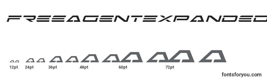 FreeAgentExpandedItalic Font Sizes