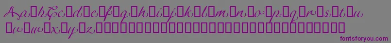 LinotypeagogoSwashthree Font – Purple Fonts on Gray Background